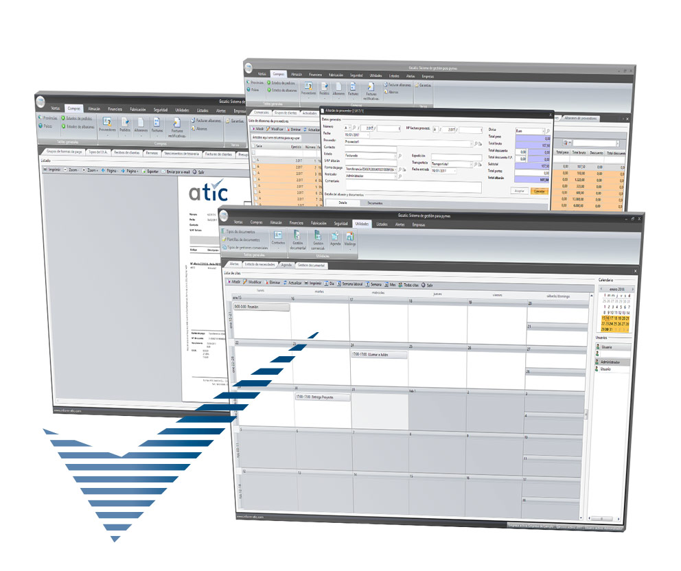Software de Gestión Empresarial Personalizado